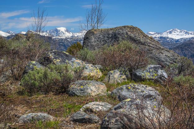 High Up On The Ridgeline. Photo by Dave Bell.