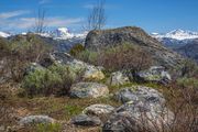 High Up On The Ridgeline. Photo by Dave Bell.