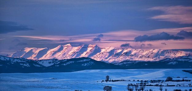 Sawtooths. Photo by Dave Bell.