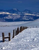 Fence Line. Photo by Dave Bell.