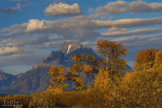 Moran Color. Photo by Dave Bell.