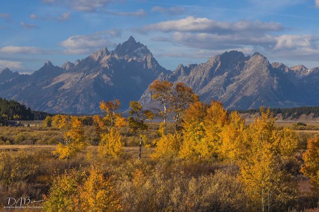 The Grand-The Dam-Willow Flats Color. Photo by Dave Bell.