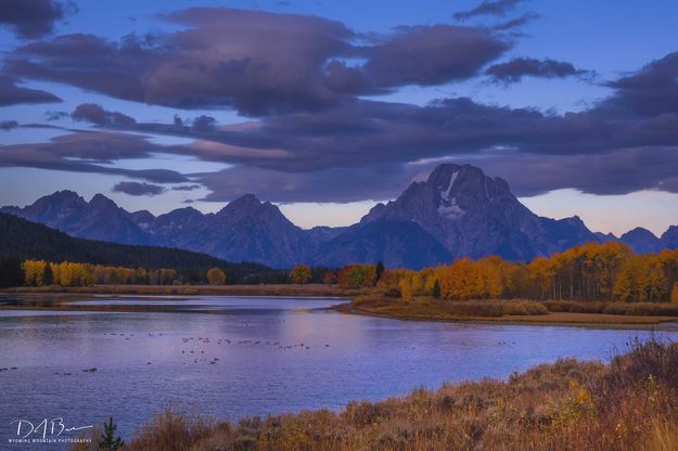 Purple Mountain Majesty. Photo by Dave Bell.