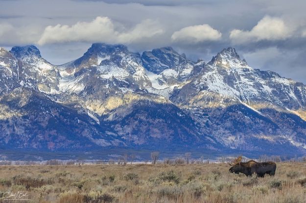 Little Guy Watching. Photo by Dave Bell.