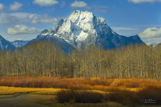 Mt. Moran. Photo by Dave Bell.