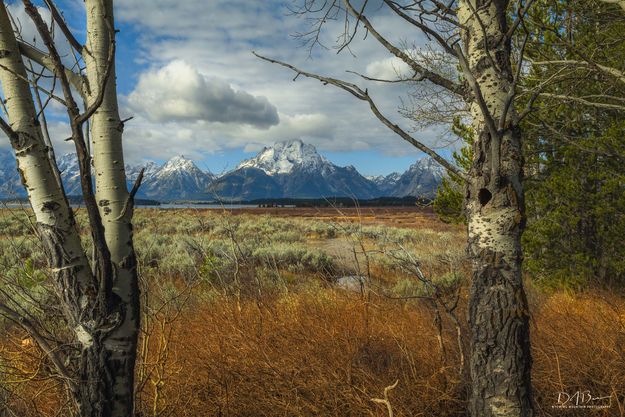 Morning Beauty At Willow Flats. Photo by Dave Bell.