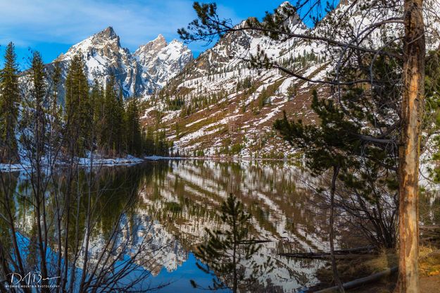 String Lake Beauty. Photo by Dave Bell.