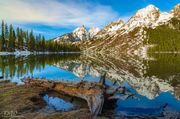 Perfect Reflection. Photo by Dave Bell.