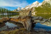 String Lake Morning. Photo by Dave Bell.