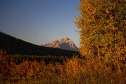 Gold And Grand. Photo by Dave Bell.