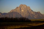 Mt. Moran Early Light. Photo by Dave Bell.