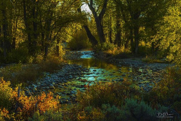 Beautiful Fall Scene. Photo by Dave Bell.