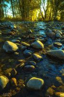 Fall Water. Photo by Dave Bell.