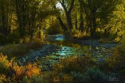 Beautiful Fall Scene. Photo by Dave Bell.