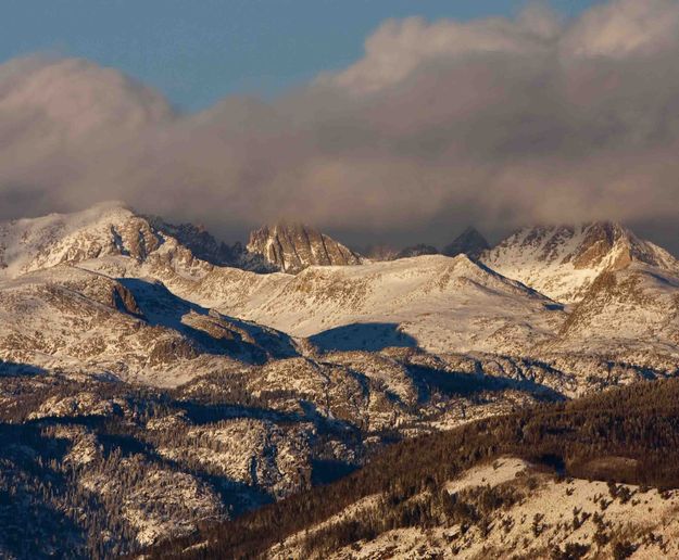 Brrrrr...!. Photo by Dave Bell.