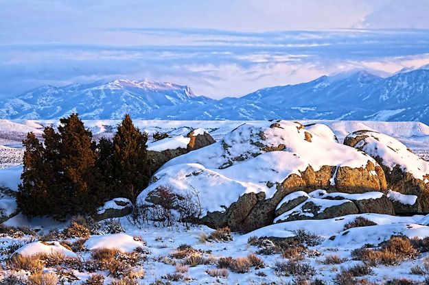 Snowy View. Photo by Dave Bell.