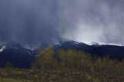 Afternoon Snow Shower. Photo by Dave Bell.