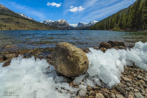 Icy Remains. Photo by Dave Bell.