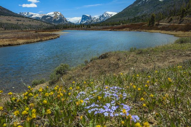 Early Season Color. Photo by Dave Bell.