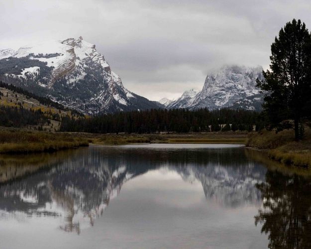 Snowy Reflections. Photo by Dave Bell.