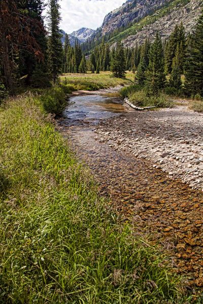 Beautiful Stream. Photo by Dave Bell.