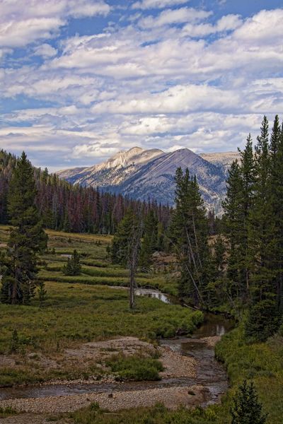 Enjoying The View. Photo by Dave Bell.