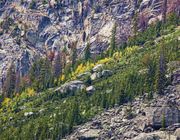 Fall Colors. Photo by Dave Bell.