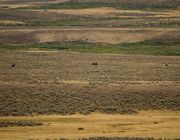 View From Afar. Photo by Dave Bell.