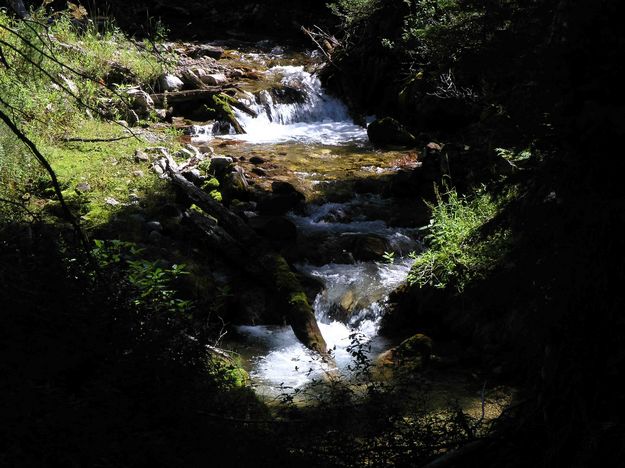 Swift Creek Shadows. Photo by Dave Bell.