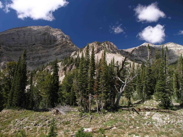 Peaks At Head Of Swift Creek Canyon. Photo by Dave Bell.