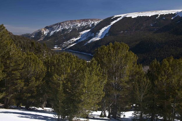 View Down To Middle Piney Lake. Photo by Dave Bell.