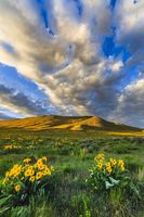 Clouds Streaming. Photo by Dave Bell.