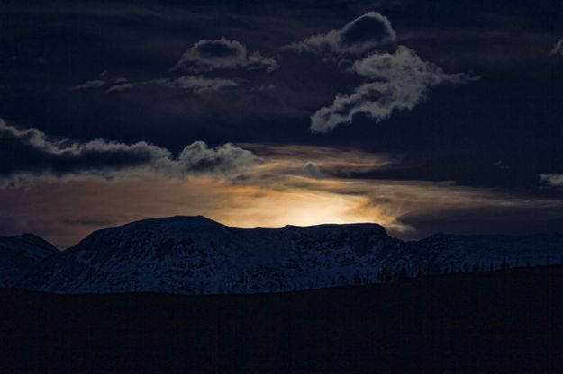Moon Glow. Photo by Dave Bell.