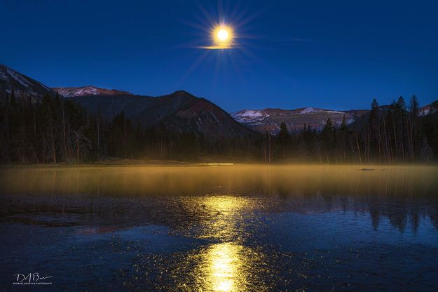 Soda Lake Mist. Photo by Dave Bell.