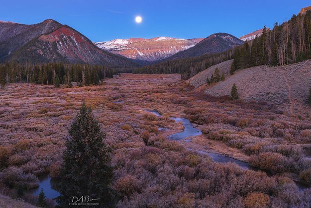 Beautiful South Cottonwood. Photo by Dave Bell.