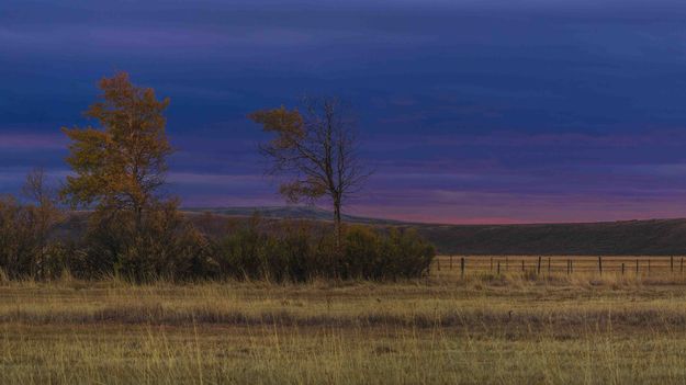 Simple Beauty At Sunrise. Photo by Dave Bell.