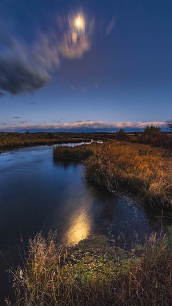 Magical Moon. Photo by Dave Bell.