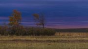 Simple Beauty At Sunrise. Photo by Dave Bell.