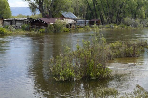 River Front Property. Photo by Dave Bell.