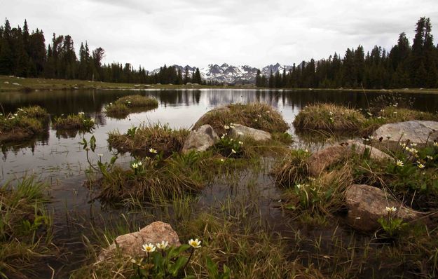 Scenic Tarn. Photo by Dave Bell.