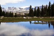 Alpine Scenery. Photo by Dave Bell.