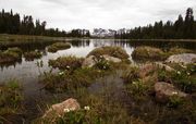 Scenic Tarn. Photo by Dave Bell.