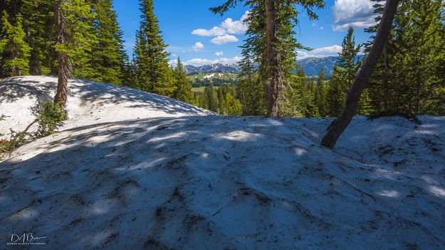 Looking North Over The Drifts. Photo by Dave Bell.