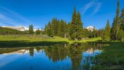 Broadly Reflected. Photo by Dave Bell.