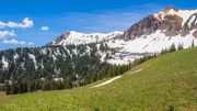 On The Divide Between Cottonwood and Horse Creek Drainages. Photo by Dave Bell.