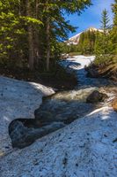 Dead Cow Creek. Photo by Dave Bell.