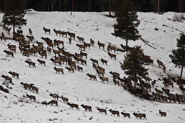 Climbing The Ridge. Photo by Dave Bell.