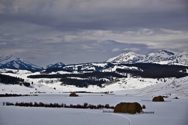 Dell Creek Valley. Photo by Dave Bell.