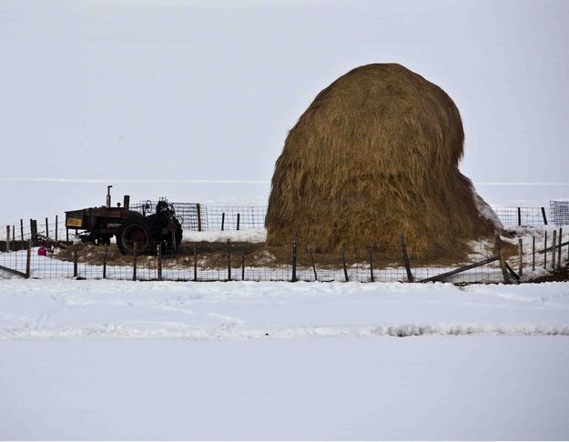 Crooked Stack And Old Tractor. Photo by Dave Bell.