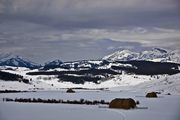 Dell Creek Valley. Photo by Dave Bell.